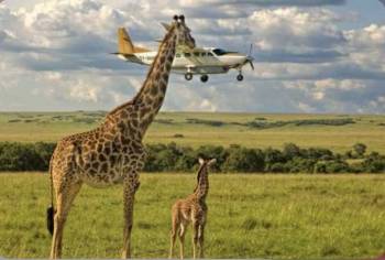 2-Day Fly-in Safari from Zanzibar to Serengeti & Ngorongoro Crater