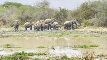 2-Day Tarangire & Ngorongoro Safari from Zanzibar