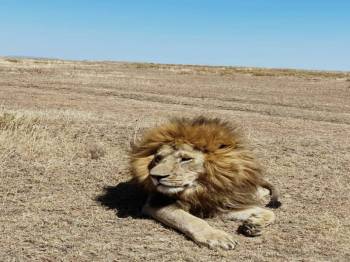 2-Day Tarangire & Ngorongoro Safari from Zanzibar