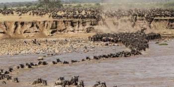 9 Days of the Great Migration: Witness the Mara River Crossing