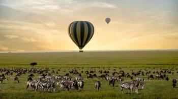 9 Days of the Great Migration: Witness the Mara River Crossing