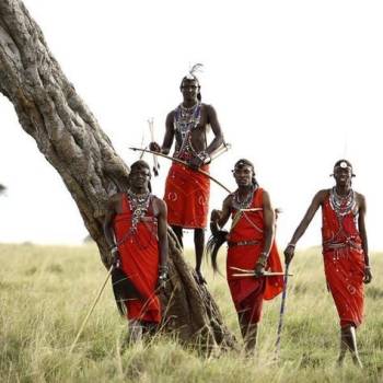 8Day Deluxe Tanzania Northern Parks Safari - Cultural Tour