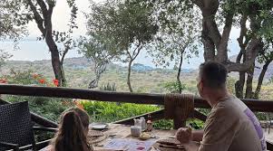 The Ultimate 10-Day African Escape: Safari & Island Bliss