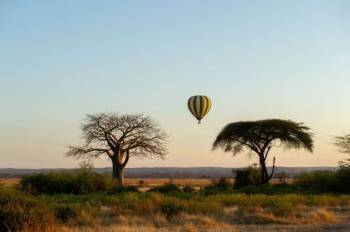 6 Day Calving Season - Ndutu - Serengeti Migration Tour