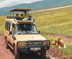 6 Day Calving Season - Ndutu - Serengeti Migration Tour