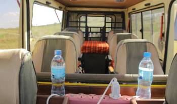 6 Day Calving Season - Ndutu - Serengeti Migration Tour
