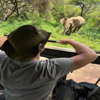 4 Day Mid-Range Tanzania Safari Tour