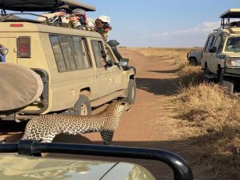 Ngorongoro Tour Packages