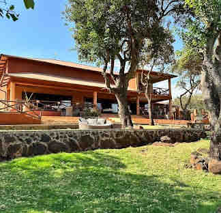 3 Day Tanzania Luxury Safari - A Journey Into Africa’s Wild Beauty