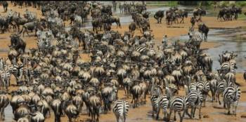 Manyara Tour Packages