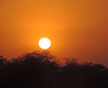 3 Day Mid-Range Tanzania Safari Tour