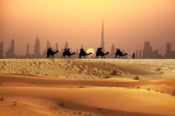 Best Of Dubai Culture - Skyline - Desert Wonders Tour