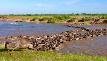 4-Day Kenya Safari Adventure Tour