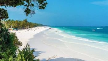 Kenya’s Coastal Gems - Discover Stunning Beaches Tour