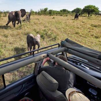 The Ultimate Kilimanjaro - Safari Adventure Tour The Ultimate Kilimanjaro - Safari Adventure Tour
