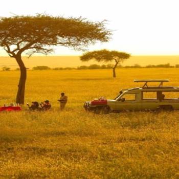 2 Days Ngorongoro Crater safari Tour 2 Days Ngorongoro Crater safari Tour