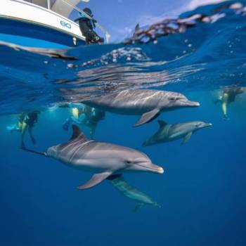8 Days Zanzibar Complete Discovery Tour 8 Days Zanzibar Complete Discovery Tour