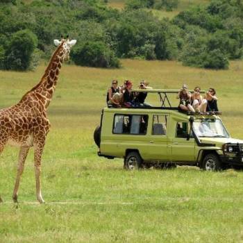 Arusha National Park Day Trip Arusha National Park Day Trip