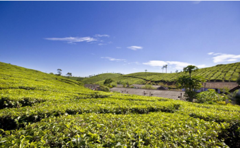 Munnar - Vagamon 4 Nights 5 Days Tour
