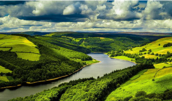 Munnar - Thekkady 4 Nights 5 Days Tour