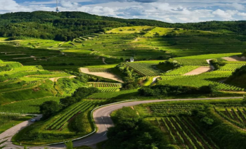 Mysore - Kabini River - Coorg 4 Nights 5 Days Tour