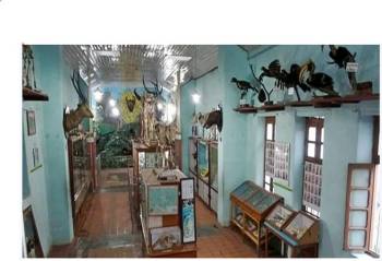 Madurai-Kodaikanal 4 Nights 5 Days