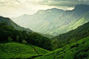 Calicut Tour Packages