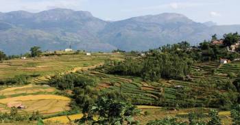 5 Days Kanthalloor - Marayoor - Munnar - Vattavada Tour