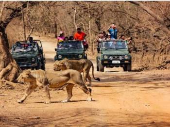 5-Day / 4-night Gujarat Tour