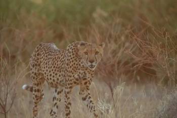 Samburu National Park