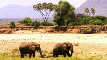 Samburu National Park