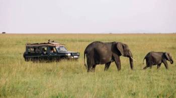 Ngorongoro Tour Packages