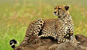 5days 4 Nights in the Wild