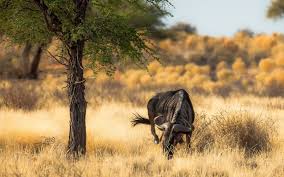 5days 4 Nights in the Wild