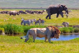 5days 4 Nights in the Wild