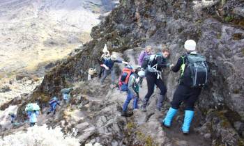 7 Days Kilimanjaro - Rongai Route Tour 7 Days Kilimanjaro - Rongai Route Tour