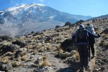 8 Days Kilimanjaro - Lemosho Route Tour 8 Days Kilimanjaro - Lemosho Route Tour
