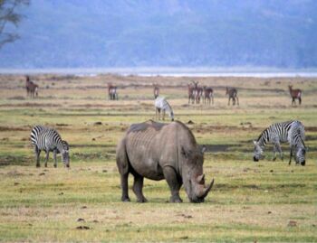 6-Day Incredible Wildlife And Cultural Experience Tour