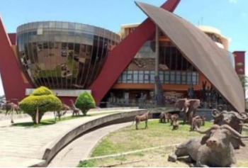 Manyara Tour Packages