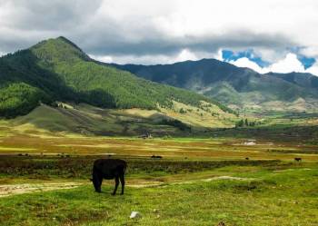 6N - 7D Bhutan Tour To Phobjikha Valley