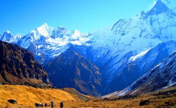 6N - 7D Druk Path Trek Tour