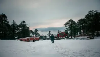 4 Night Jammu - Patnitop Package