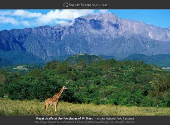Ngorongoro Tour Packages