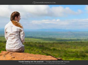 6-Day Highlights of Tanzania Mid-Range Safari