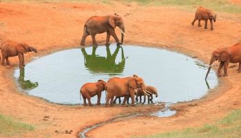 Ngorongoro Tour Packages