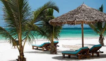 4 Days - 3 Legendary Parks - Beach To Beach Safari Tour