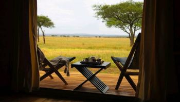 8 Days Kenya Big Five Special