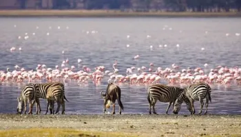 5 Days Kenya - A Beautiful Road Trip