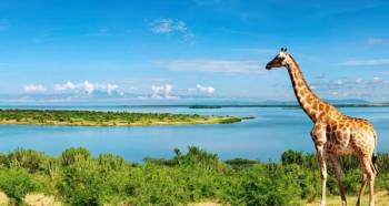 12 Days Uganda Safari - Off The Beaten Track Tour