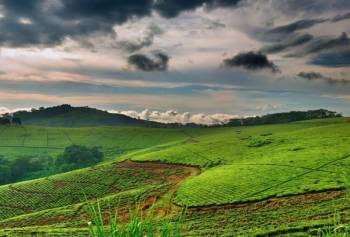 11 Days Uganda - Discovering The Culture Tour